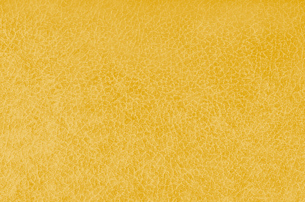 Golden Leather