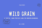 Wild Grain | A Bold Retro Stamp Sans, a Sans Serif Font by Courtney Flannagan Design (Thumbnail 7 of 7)