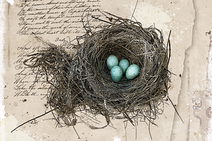 Robin's Nest - Sepia Edition