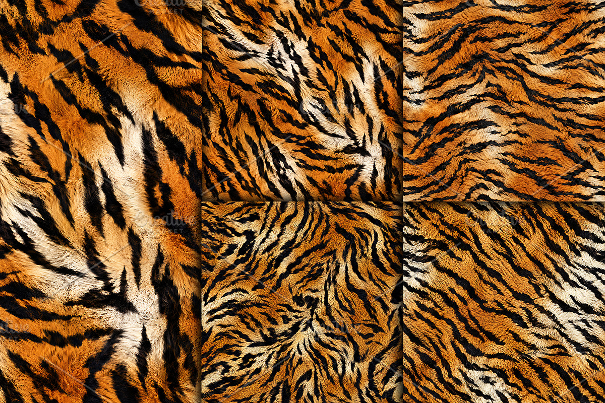 Realistic Tiger Fur Print Texture, a Pattern Graphic by Artonix (Photo 5 of 5)