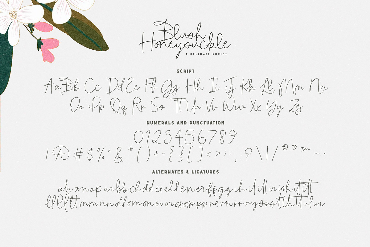 Blush Honeysuckle Script Font, a Script Font by Callie Rian & Co. (Photo 9 of 10)
