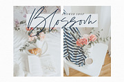 BLONDIE SCRIPT, a Handwritten Font by supfonts (Thumbnail 2 of 8)