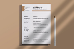 Clean Resume Word