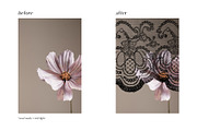 Black Lace Pieces Overlays, a Texture Graphic by Kaleriia (Thumbnail 6 of 9)