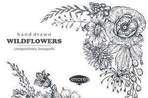 Insects And Wildflowers Vector Set