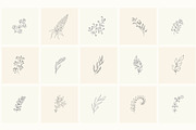 Hand Drawn Floral Elements. Frames, a Seasonal Illustration by Designwork (Thumbnail 3 of 22)