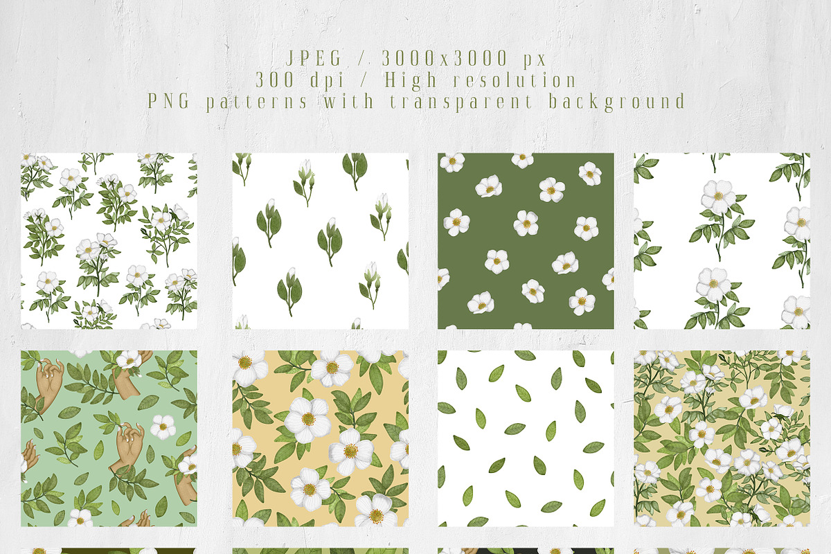 Cherokee rose clipart pattern set, a Decorative Illustration by Yelloo Fish (Photo 9 of 21)