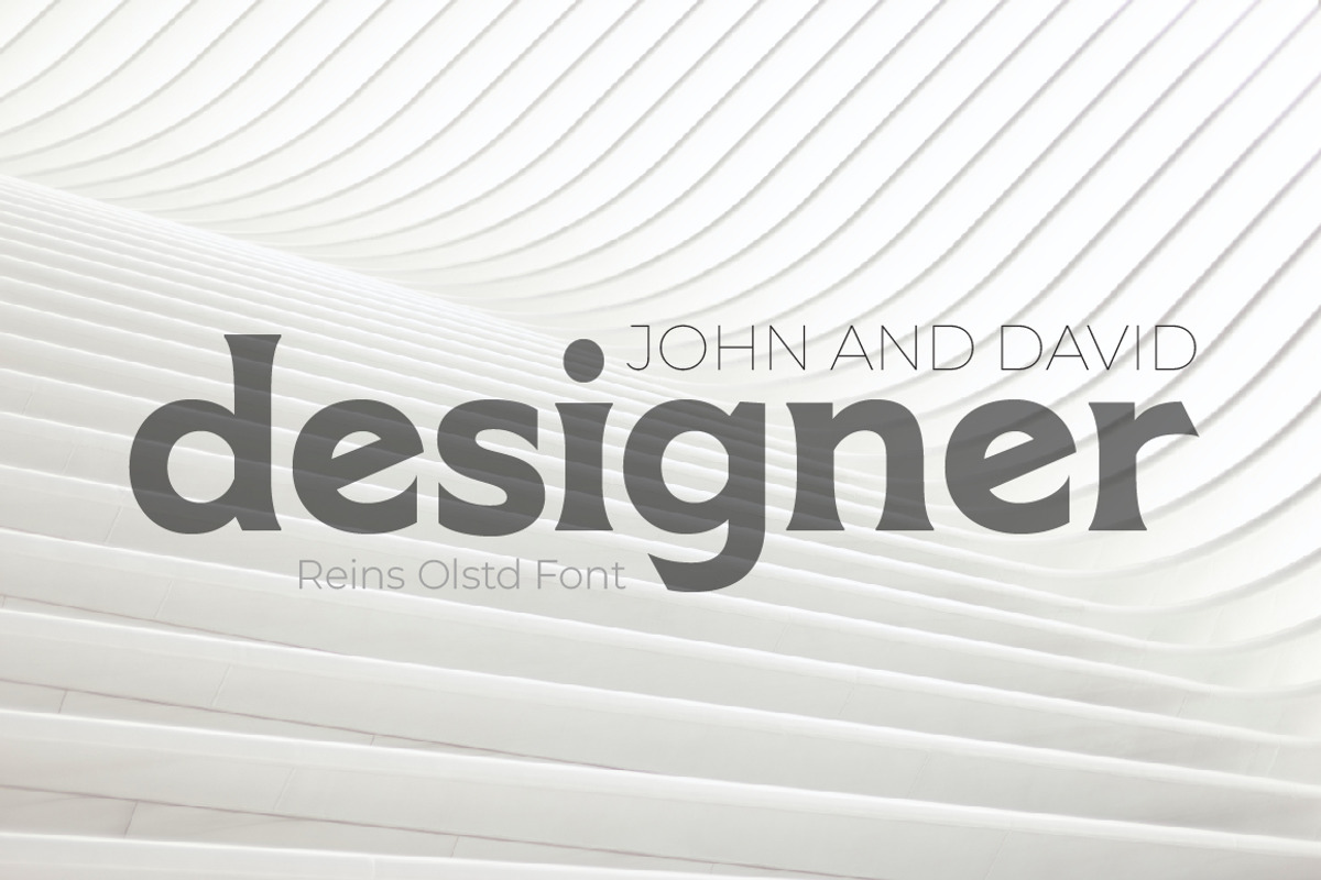 REINS Olstd - Display Serif, a Serif Font by Olexstudio (Photo 2 of 6)