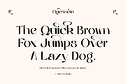 Quessera Font, a Sans Serif Font by Oui Studio (Thumbnail 7 of 21)