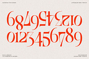 SLTF BOXROOM - Modern Serif Typeface, a Serif Font by SilverStag Type Foundry (Thumbnail 28 of 30)