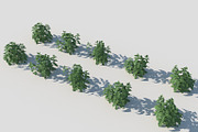 Melissa officinalis, an Environmental 3D Model by happy brush (Thumbnail 3 of 8)