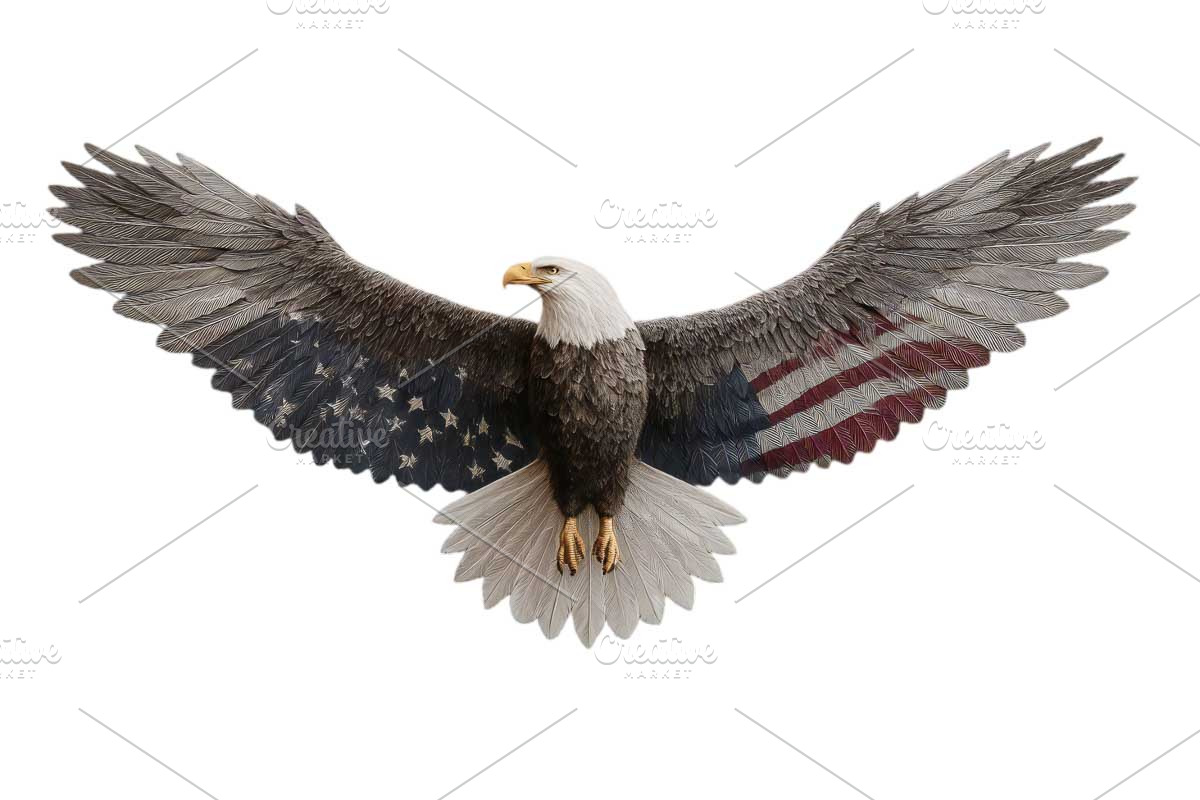 American Eagle Patriotic flag 4 July, a Graphic by VetalStock (Photo 2 of 11)