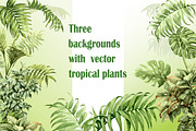 Watercolor Tropical Plants, a Decorative Illustration by Valentyna Smordova (Thumbnail 6 of 6)