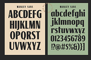Malney Classic Font Duo, a Script Font by Letterhend Studio (Thumbnail 10 of 10)