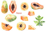 Watercolor tropical fruits., an Illustration by TaPilipa (Thumbnail 28 of 39)