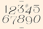 TAN - CLEMENTINE, a Serif Font by TanType (Thumbnail 11 of 20)