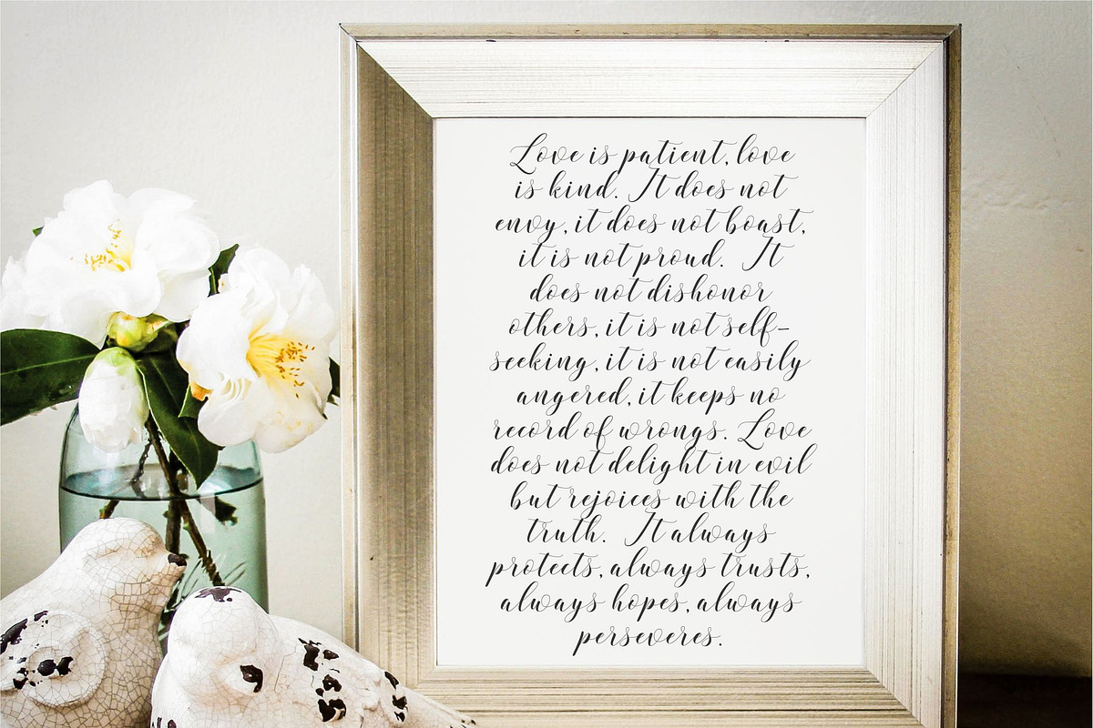 Verbatim Calligraphy Script PRO preview 7