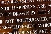 Miraden Florale Modern Serif Font, a Serif Font by Storytype Studio (Thumbnail 7 of 15)