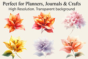 Bougainvillea Flowers Clipart Bundle, an Illustration by Libby Wishes (Thumbnail 2 of 3)