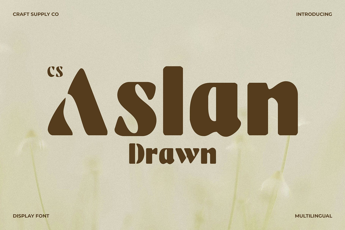 CS Aslan Drawn, a Sans Serif Font by Craft Supply Co. (Photo 1 of 8)