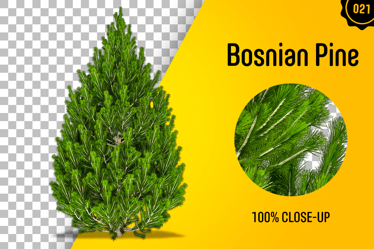 CUT OUT TREES - 60 PCS BUNDLE, a Packaging Mockup by 3DSTORE (Photo 22 of 63)