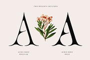Acris Serif, a Serif Font by Andrey Sharonov (Thumbnail 6 of 16)
