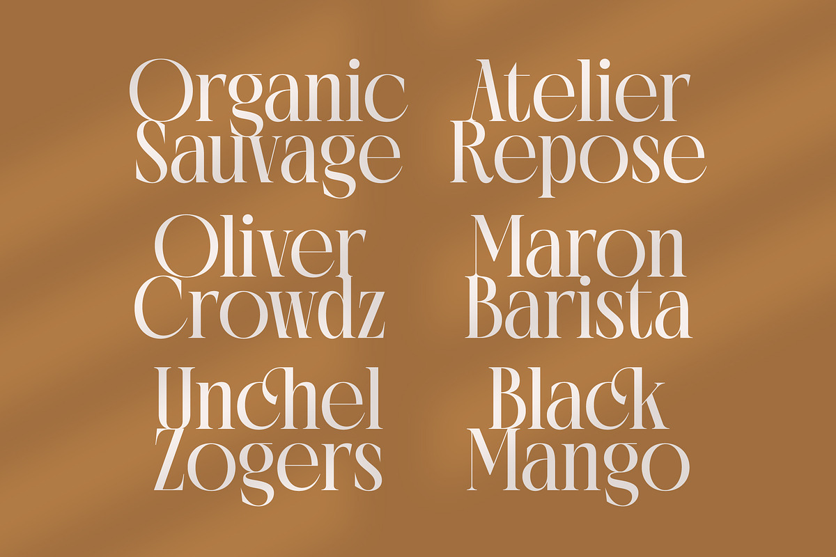 Rich Dashy Modern Elegant Serif, a Script Font by timelesstype.co (Photo 11 of 20)