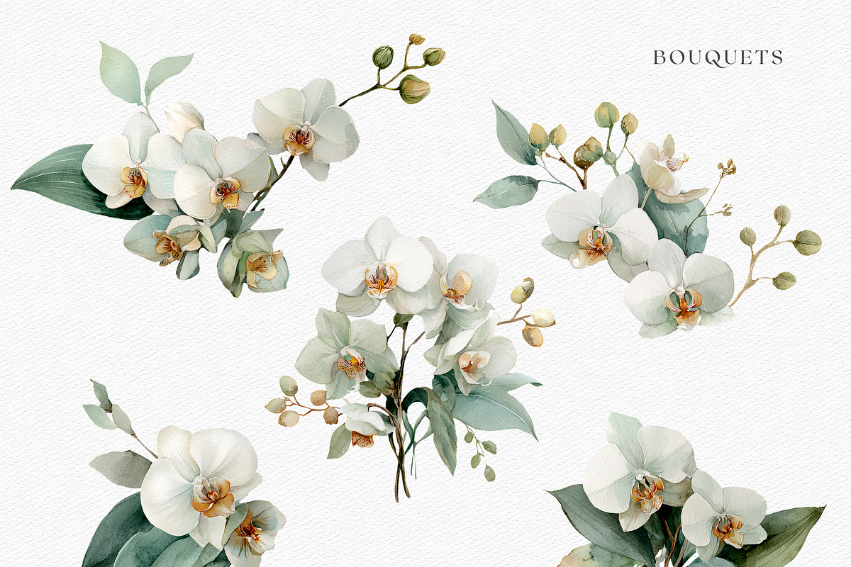 White Orchid Watercolor Clipart, a Decorative Illustration by ThaismotaCreativeCo (Photo 3 of 12)