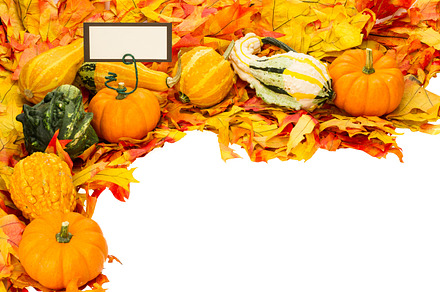 Fall decorations of pumpkins featuring fall, autumn, and leaves preview 6