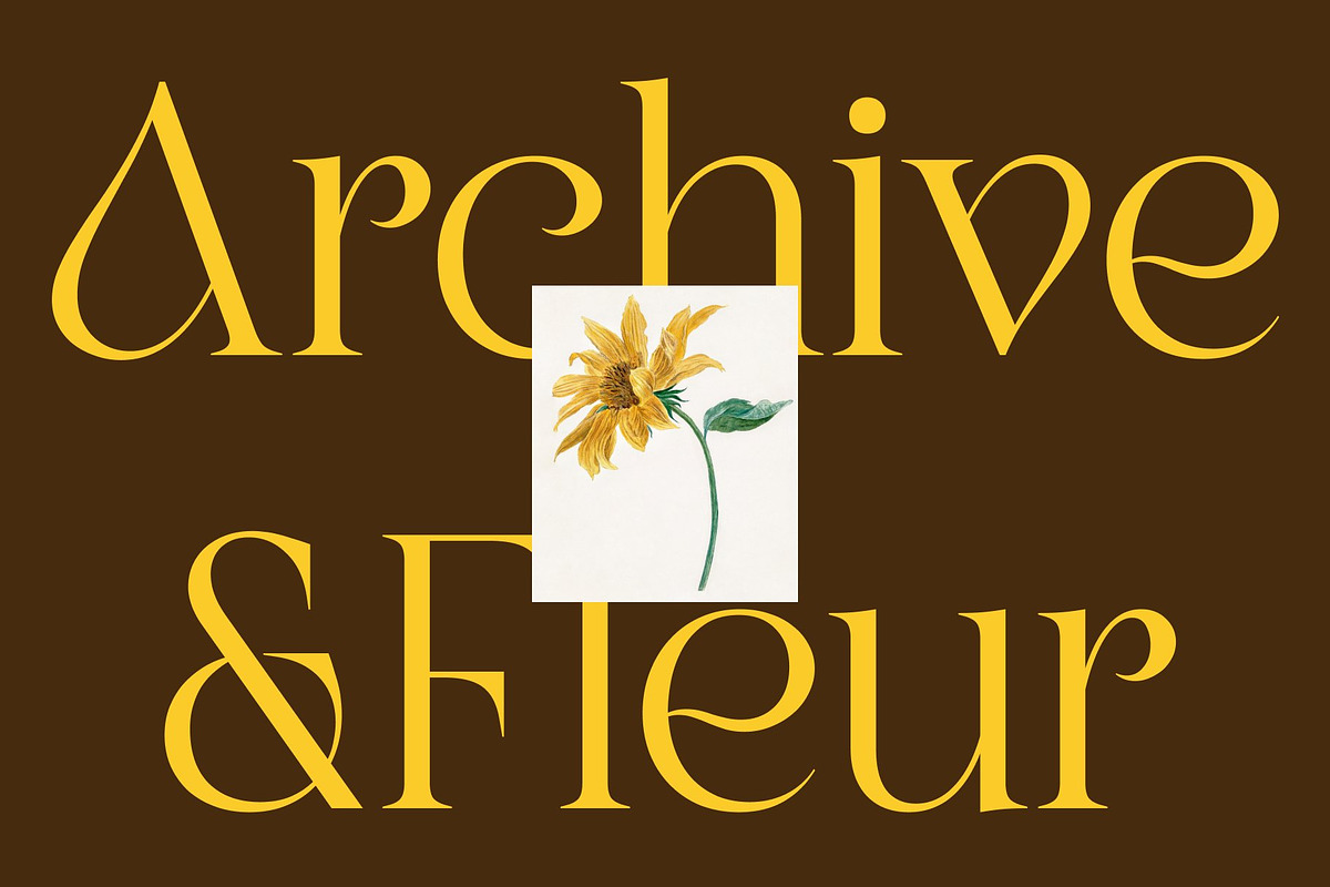 CS Asena – Elegant Serif Font, a Serif Font by Craft Supply Co. (Photo 6 of 8)