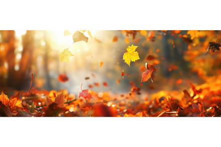 Autumn Design Background, a Nature Photo by BazziBa♥