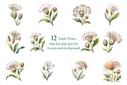 Baby's Breath Watercolor Clipart, a Decorative Illustration by ForhadGFX (Thumbnail 9 of 14)