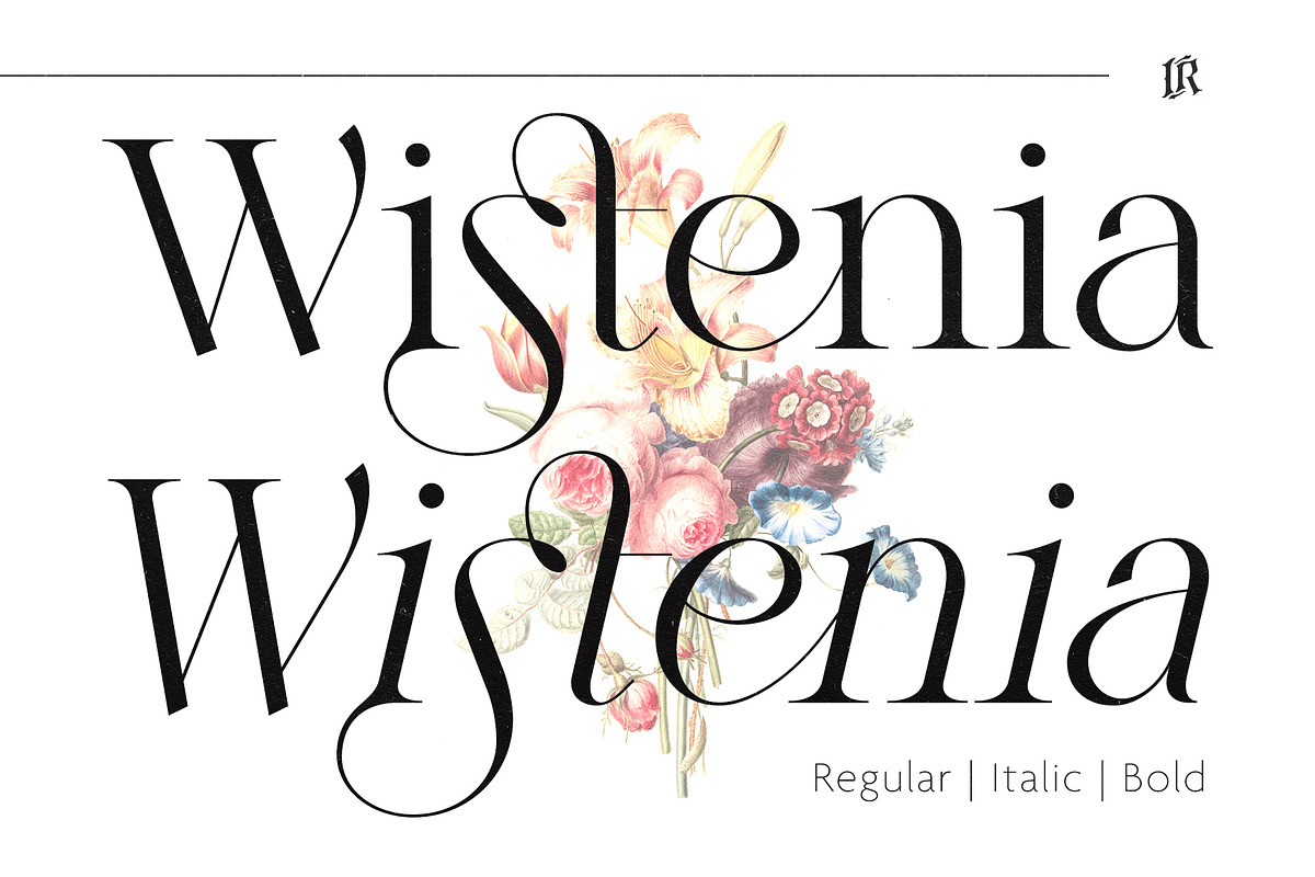 Wistenia Typeface, a Serif Font by Ivan Rosenberg (Photo 1 of 18)