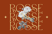 Vamos Unique Serif Typeface, a Serif Font by Alfinart (Thumbnail 2 of 10)