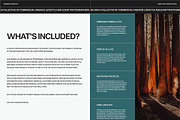 Redwood Sunset - Video LUTs, a Brushes & More by Truesight Supply Co. (Thumbnail 5 of 6)