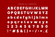 Monteo Bold Display Branding Font, a Sans Serif Font by Rasio Studio (Thumbnail 2 of 10)