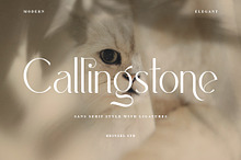 Callingstone Modern Sans Serif Font