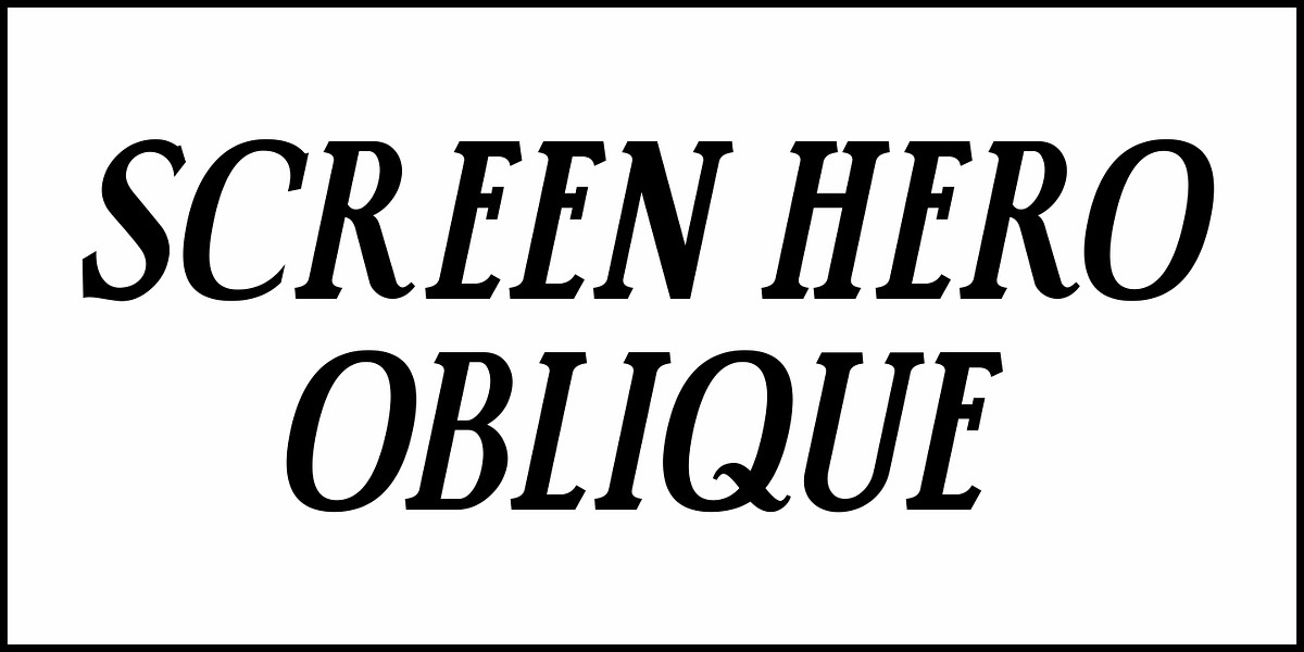 Screen Hero JNL, a Serif Font by Jeff Levine Fonts (Photo 4 of 5)