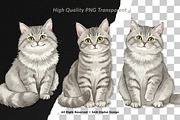 15 Bundle Watercolor Grey Cats Pet, an Animal Illustration by Morspective (Thumbnail 2 of 15)