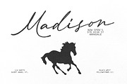 Always Classy – Elegant Handwritten, a Handwritten Font by Blankids Studio (Thumbnail 2 of 9)