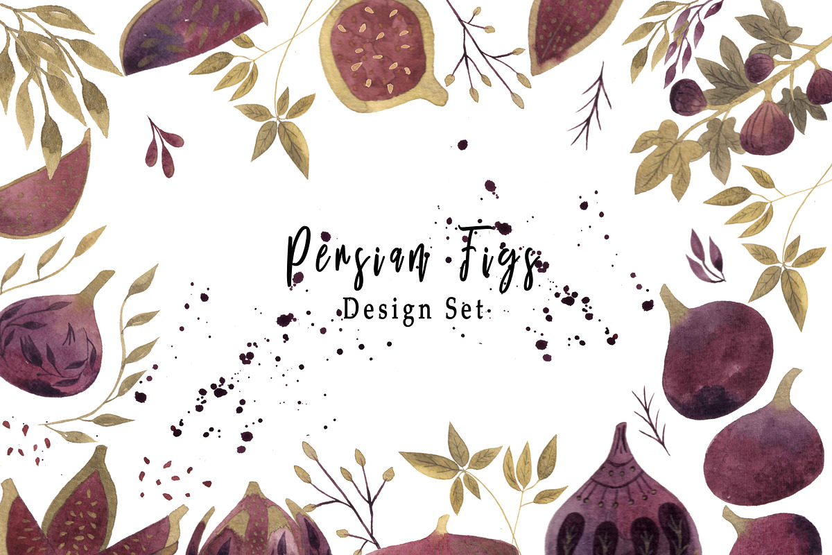 Watercolor Persian Figs, an Object Graphic by Zahra Makes (Photo 1 of 3)