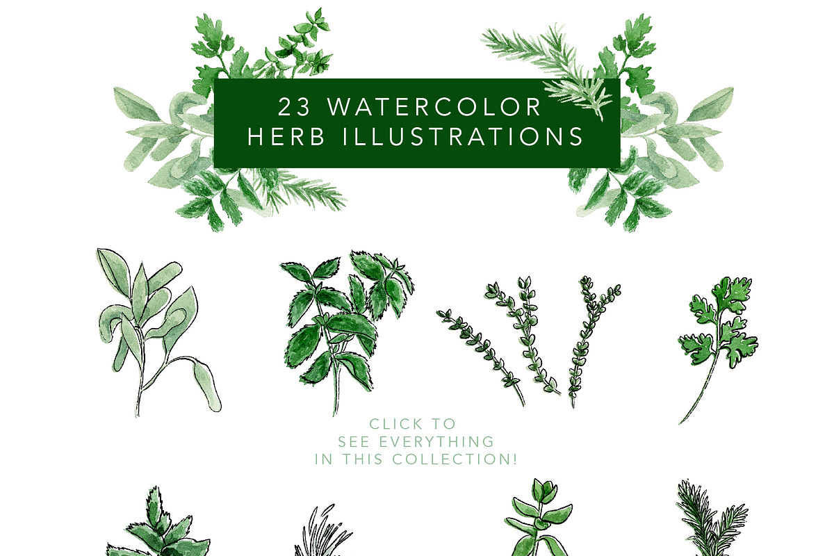 Watercolor Herb Collection, an Illustration by One and Only Paper (Photo 3 of 7)