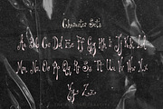 Prudence Lies Spidery Display Font, a Handwritten Font by The October Creative (Thumbnail 3 of 8)
