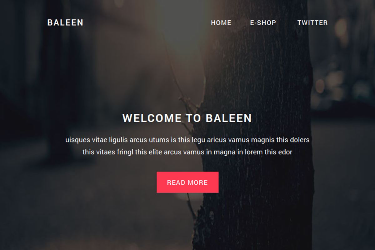 Baleen - Responsive email template, an Email Template by QuickArtisan (Photo 5 of 5)