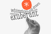 Wynona, a Serif Font by William Hastings (Thumbnail 8 of 8)