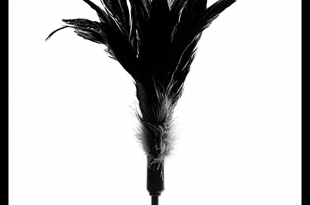 Leather whip preview 6