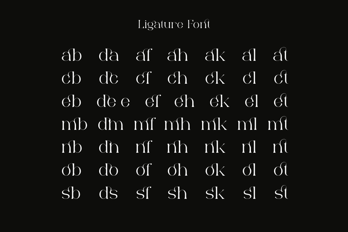 Bonuko - Modern Ligature Serif Font, a Serif Font by Iqsiart Studio (Photo 3 of 16)