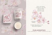 Pink Orchid Phalaenopsis Art, an Illustration by slowlivecreate (Thumbnail 2 of 7)