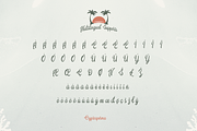Cyrtosperma, a Script Font by ilhamtaro (Thumbnail 9 of 10)