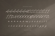 Theyladia | Handwritten Script, a Script Font by gracetype_studio (Thumbnail 11 of 12)